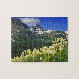 Bärenkraut am Logan Pass im Glacier National Park Puzzle