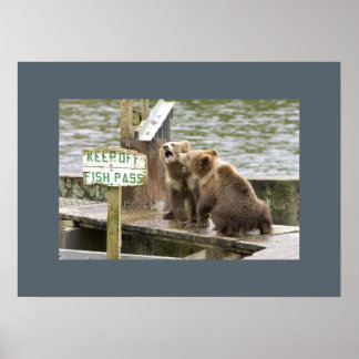 Bärenkuppen Erinnerungen Liebe Destiny Destiny's Poster