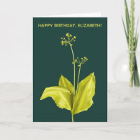 Bärenlauch Grün Pflanze Botanische Kunst Geburtsta