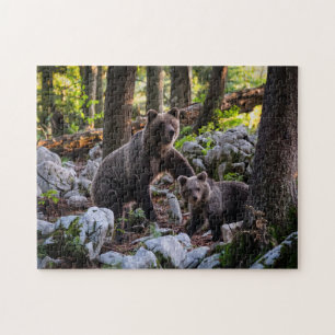 Bärenmutter und Jungtier Slowenien Puzzle