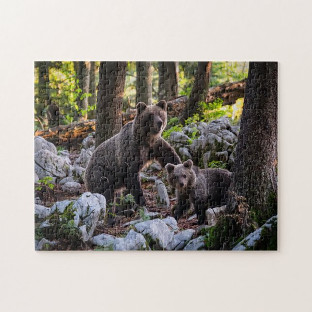 Bärenmutter und Jungtier Slowenien Puzzle (Horizontal)