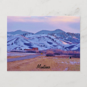 Bärenpfau Postkarte