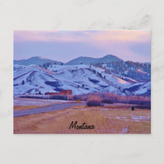 Bärenpfau Postkarte