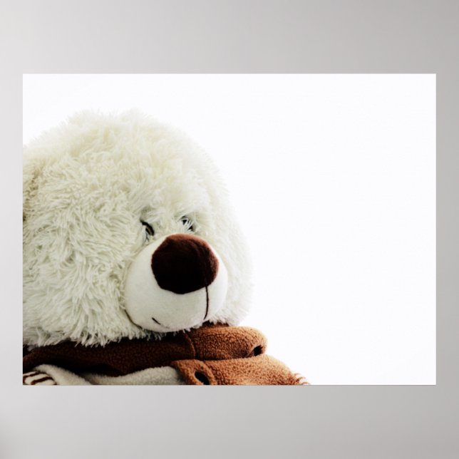 Bärenprint Poster (Vorne)