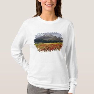 Bärentraube im frühen Herbst Athabasca Peak in der T-Shirt