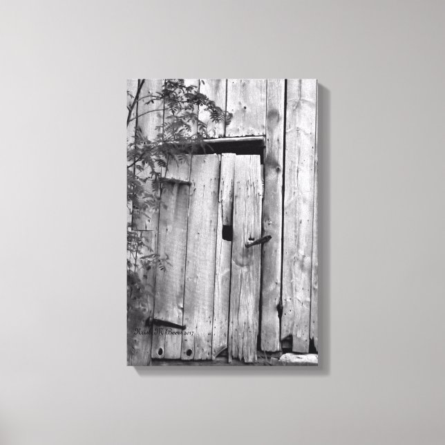 Barenttür mit Baumkanvas Print Leinwanddruck (Vorderseite)