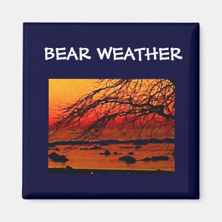 BÄRENWETTER MAGNET