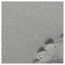 Barfüßigabdruck im Strandsand-Fotogewebe