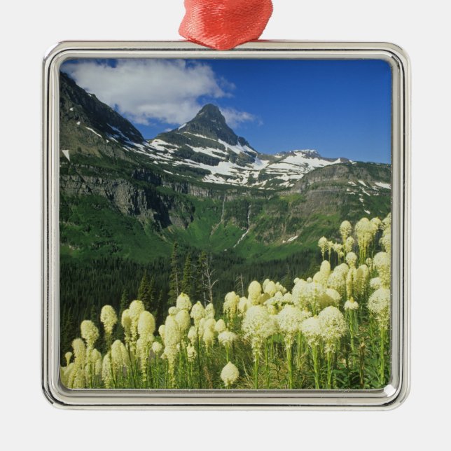 Bärgras bei Logan Pass, Gacier National Silbernes Ornament (Vorne)