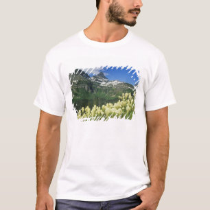 Bärgras bei Logan Pass, Gacier National T-Shirt
