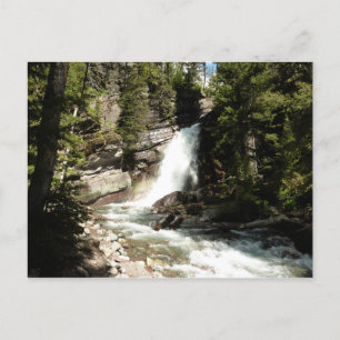 Baring Falls at Glacier National Park Postkarte