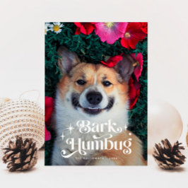 BARK HUMBUG Funny Dog Weihnachten
