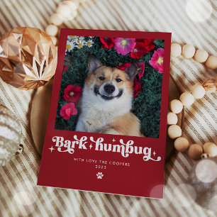 Bark Humbug Hund Foto Lustiges Weihnachten