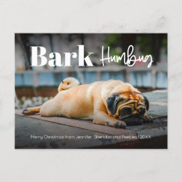 Bark Humbug Niedlich Modernes Foto Holiday Post Feiertagspostkarte