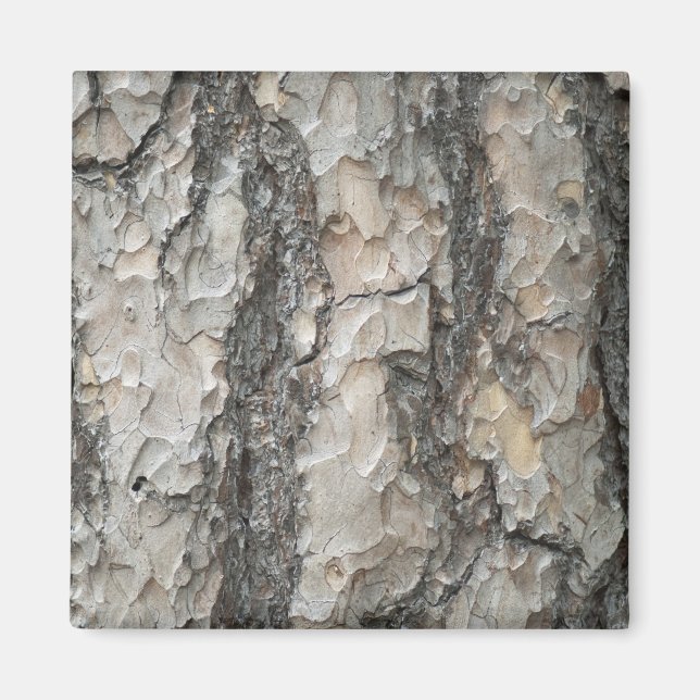 Bark Pine Wood Magnet (Vorne)