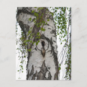 BARK TREE POSTKARTE