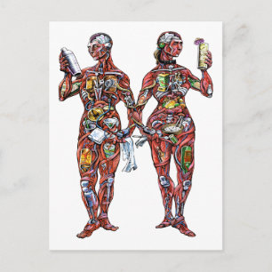 Barkeeper Anatomie (männlich & weiblich) Postkarte