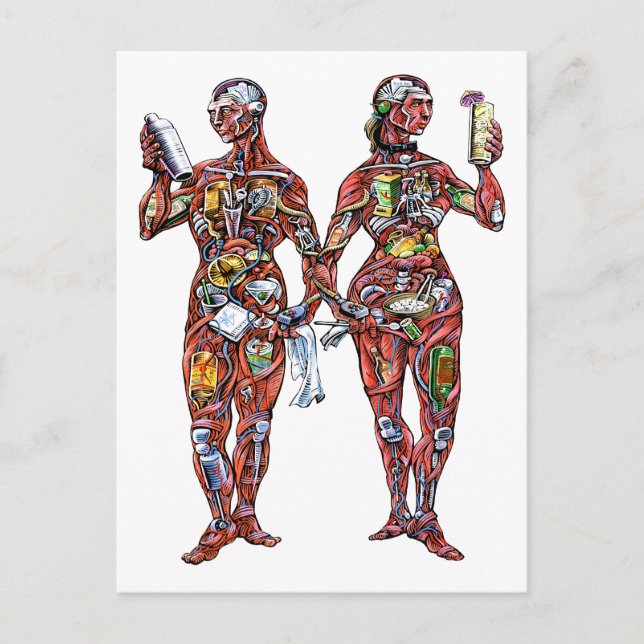 Barkeeper Anatomie (männlich & weiblich) Postkarte (Vorderseite)