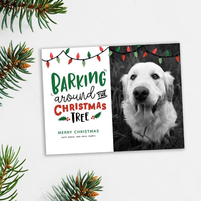 Barken um den Weihnachtsbaum Dog Weihnachten (Cute pet Christmas card. Barking around the Christmas tree photo holiday card shown with pine accent)