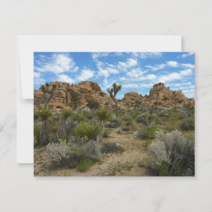 Barker Dam Loop Trail im Joshua-Tree-Nationalpark