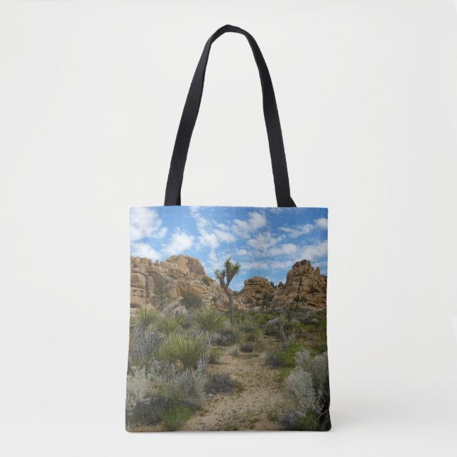 Barker Dam Loop Trail im Joshua-Tree-Nationalpark (Vorderseite)
