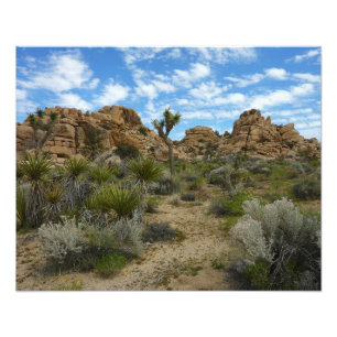 Barker Dam Loop Trail im Joshua-Tree-Nationalpark Fotodruck