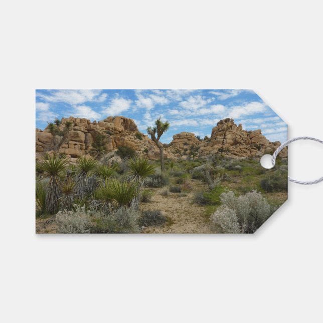Barker Dam Loop Trail im Joshua-Tree-Nationalpark Geschenkanhänger (Vorderseite (Horizontal))
