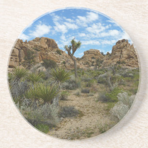 Barker Dam Loop Trail im Joshua-Tree-Nationalpark Getränkeuntersetzer