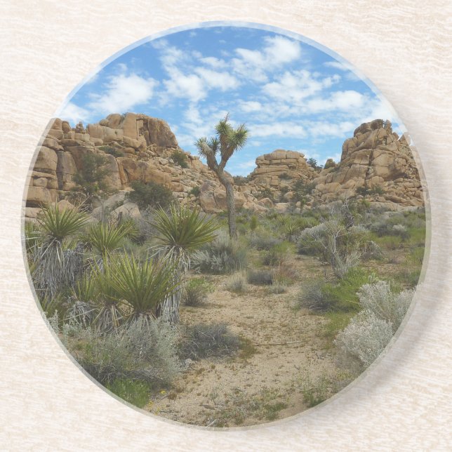 Barker Dam Loop Trail im Joshua-Tree-Nationalpark Getränkeuntersetzer (Vorne)