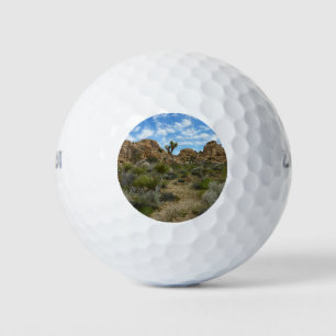 Barker Dam Loop Trail im Joshua-Tree-Nationalpark Golfball