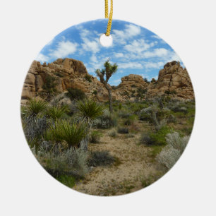 Barker Dam Loop Trail im Joshua-Tree-Nationalpark Keramikornament