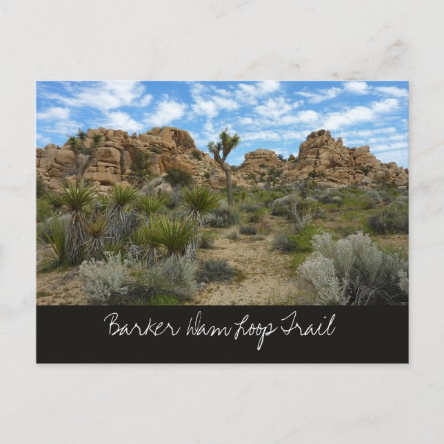 Barker Dam Loop Trail im Joshua-Tree-Nationalpark Postkarte (Vorderseite)