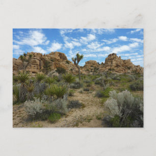 Barker Dam Loop Trail im Joshua-Tree-Nationalpark Postkarte