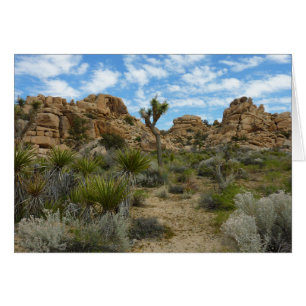 Barker Dam Loop Wandern im Joshua Tree Nationalpar