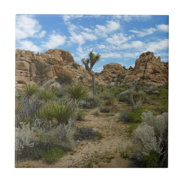 Barker Dam Loop Wandern im Joshua Tree Nationalpar Fliese (Vorderseite)