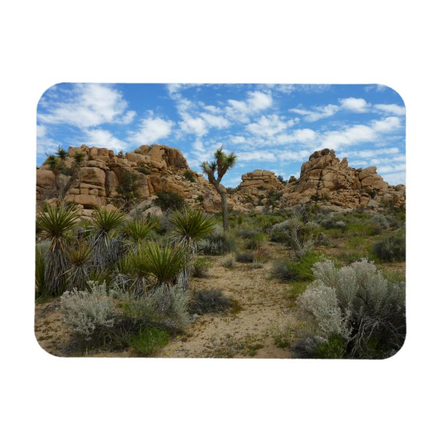 Barker Dam Loop Wandern im Joshua Tree Nationalpar Magnet (Horizontal)