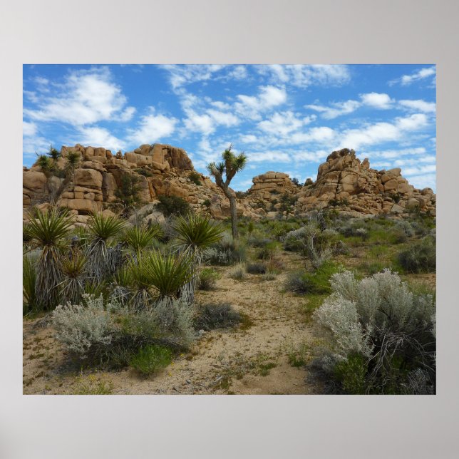 Barker Dam Loop Wandern im Joshua Tree Nationalpar Poster (Vorne)