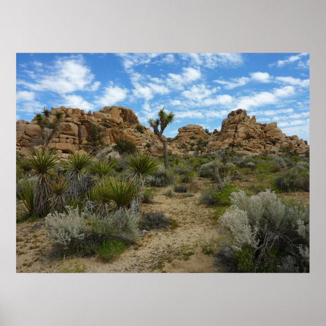 Barker Dam Loop Wandern im Joshua Tree Nationalpar Poster (Vorne)
