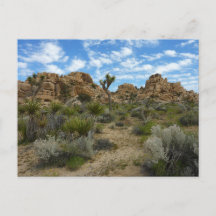 Barker Dam Loop Wandern im Joshua Tree Nationalpar