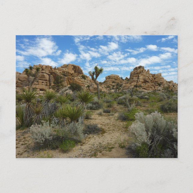 Barker Dam Loop Wandern im Joshua Tree Nationalpar Postkarte (Vorderseite)
