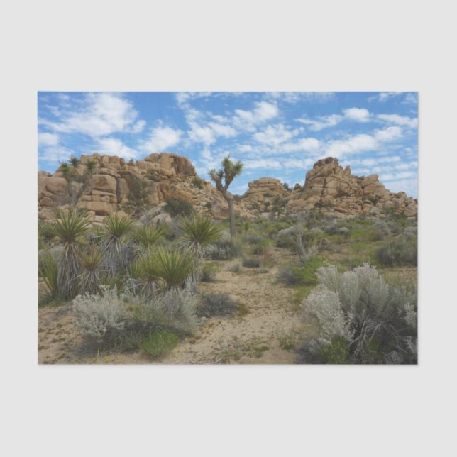 Barker Dam Loop Wandern im Joshua Tree Nationalpar Seidenpapier (Vorderseite)