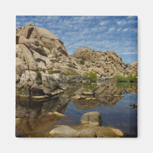 Barker Dam Spiegelung bei Joshua Tree I Magnet