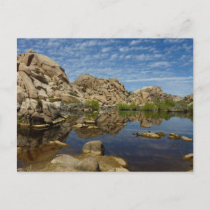 Barker Dam Spiegelung bei Joshua Tree I Postkarte