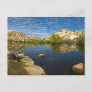 Barker Dam Spiegelung bei Joshua Tree II Postkarte