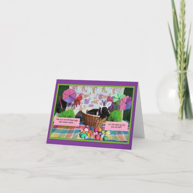 Barking at Bunnies (Vorderseite)