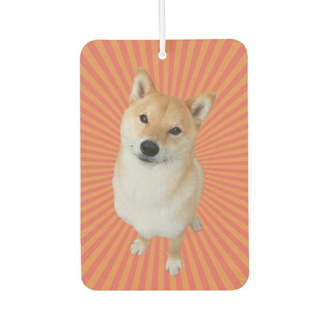 Barkley Brand Rectangle Air Freshener Autolufterfrischer (Vorderseite)