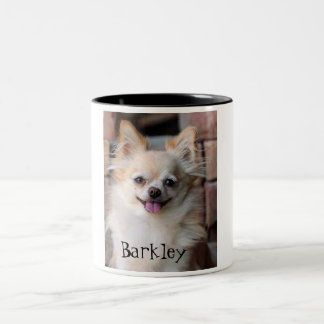 Barkley die Oklahoma Chihuahua-Tasse Zweifarbige Tasse