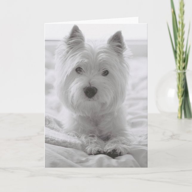 Barko im Bett Karte (Vorderseite)