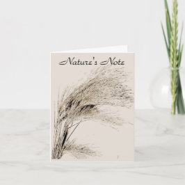 BARLEY GRASS FOTO NOTE CARD