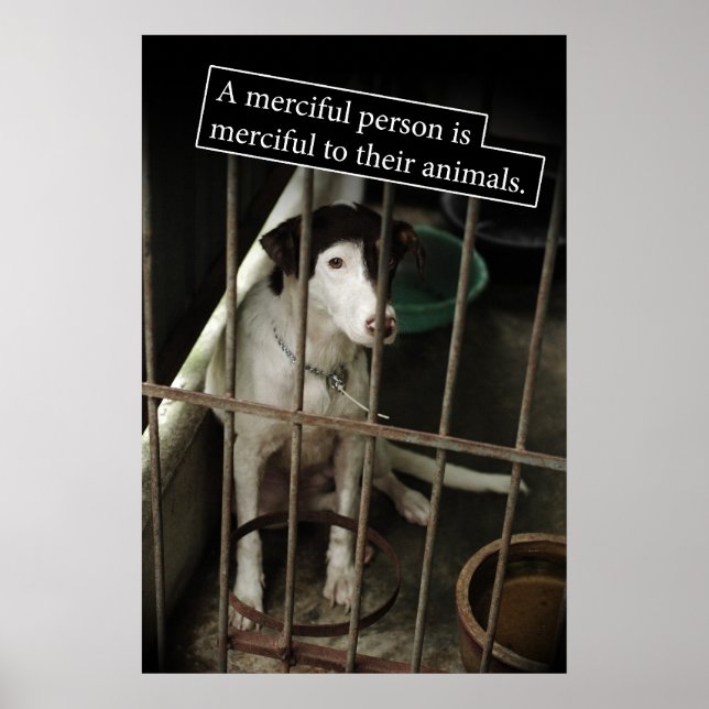"Barmherzigkeit für Tiere"-Poster Poster (Vorne)